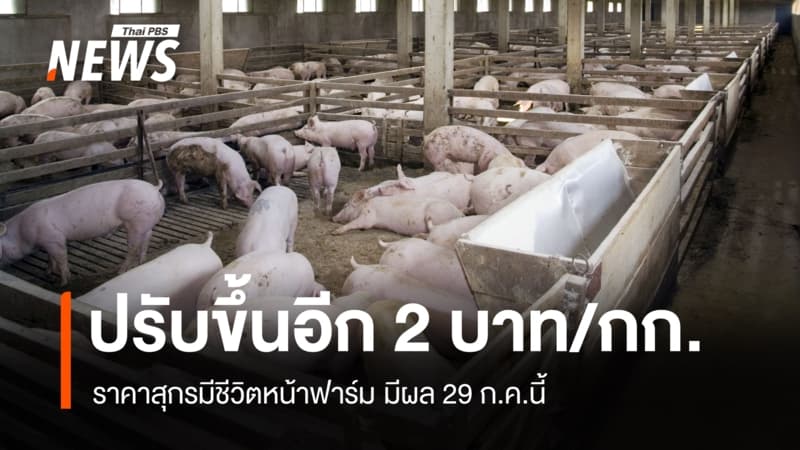 ปรับขึ้นราคาสุกรมีชีวิตหน้าฟาร์มอีก 2 บาท/กก. มีผล 29 ก.ค.