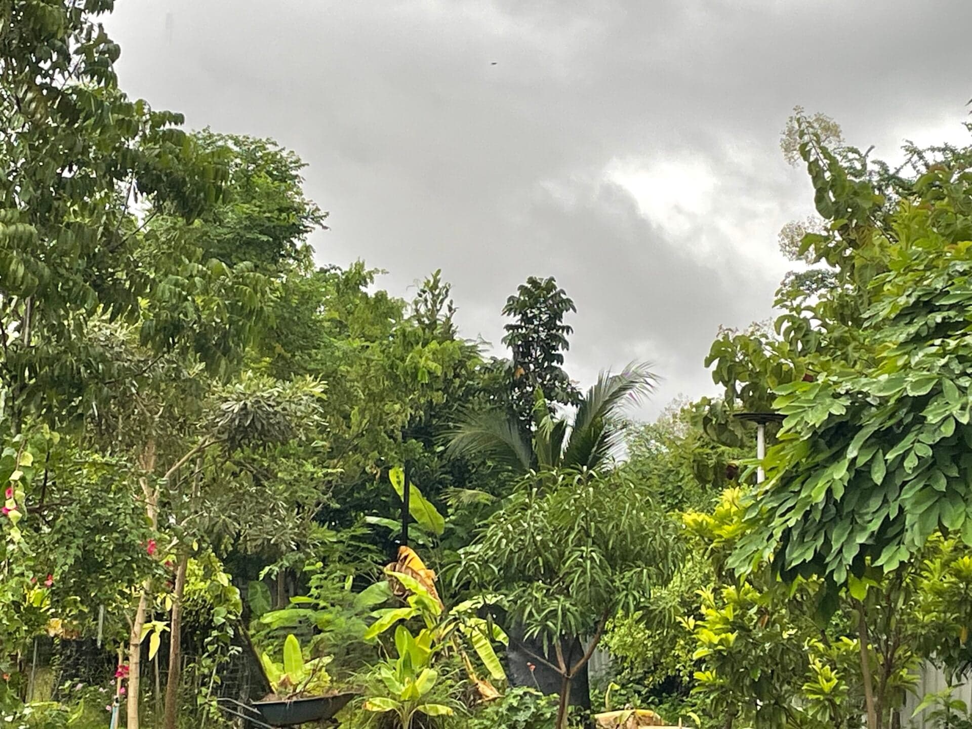 อุตุฯเตือนหลายพื้นที่เหนือ อีสานรับมือฝนตกหนักวันนี้