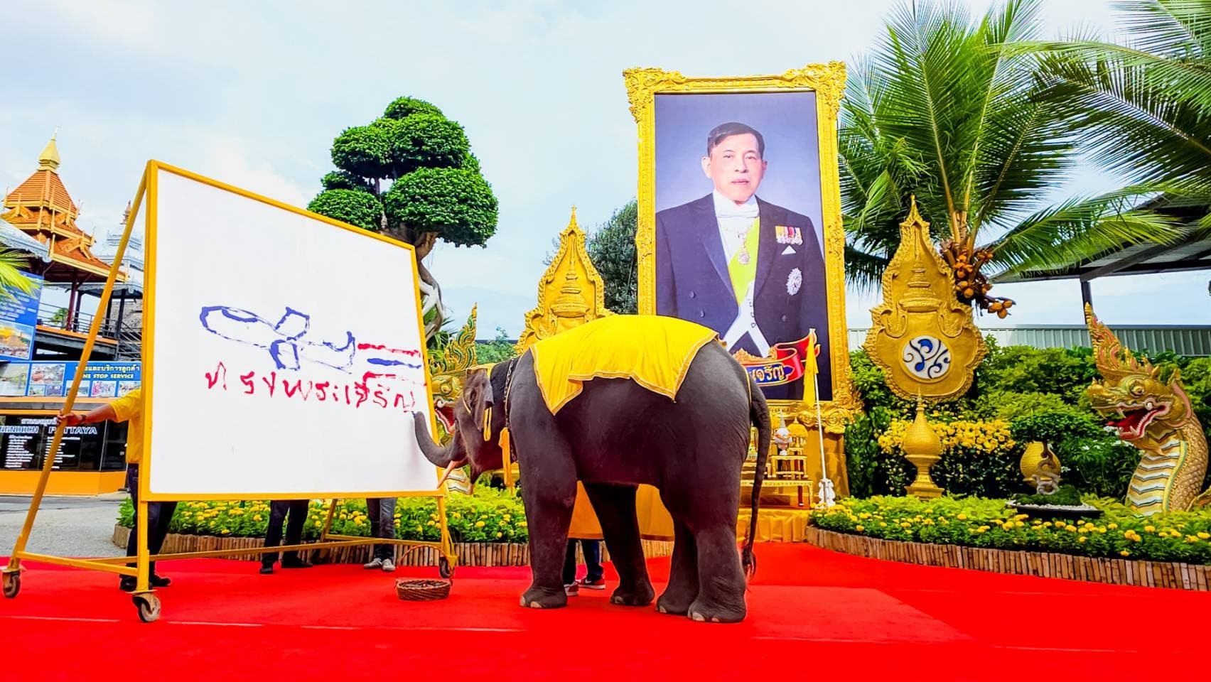 สวนนงนุชพัทยา นำช้างแสนรู้วาดภาพถวายพระพรในวันเฉลิมพระชนมพรรษาพระบาทสมเด็จพระเจ้าอยู่หัว