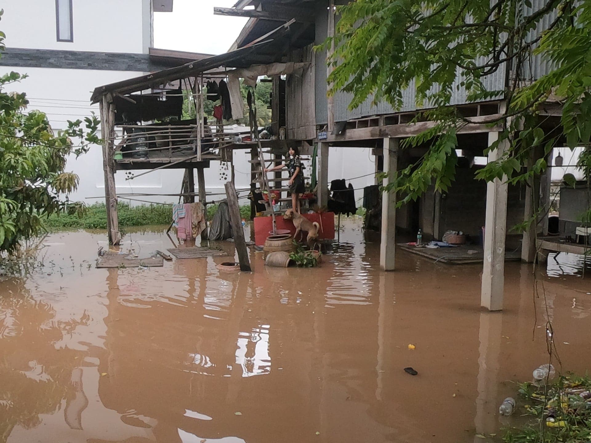 พิษณุโลกฝนหยุด น้ำหลายพื้นที่ลด แต่บางระกำยังสูง เตรียมรับฝนระลอกใหม่ 25-27 ส.ค.