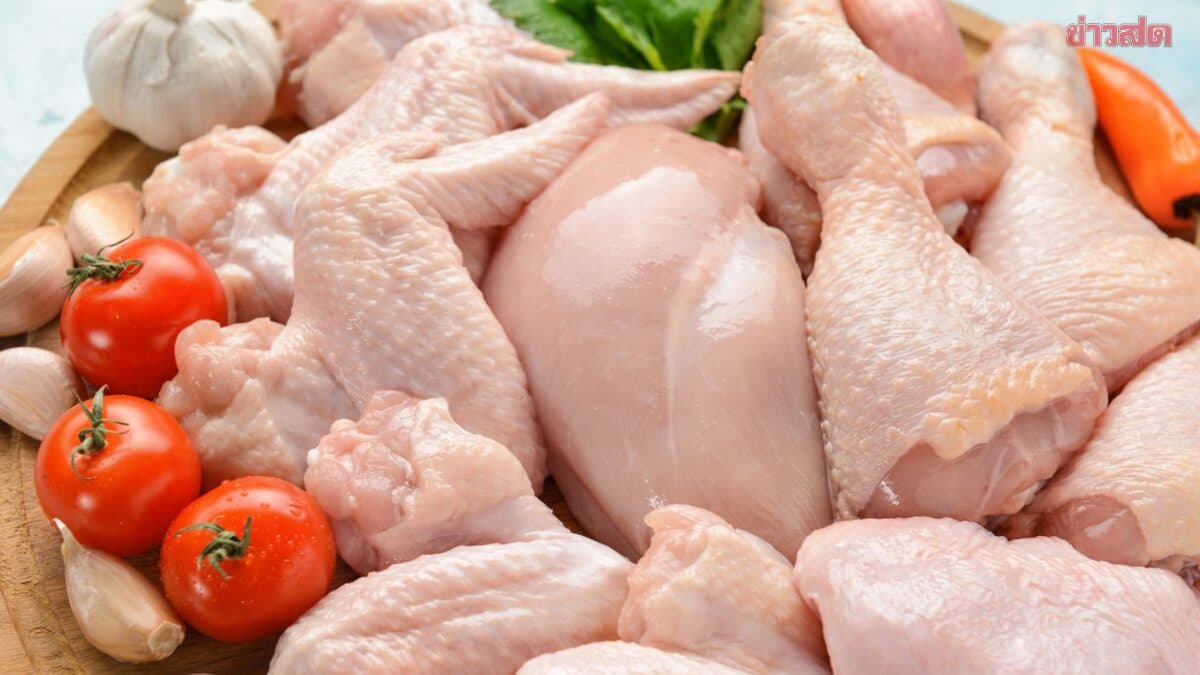 นายกสมาคมไก่ฯ ค้านรัฐนำเข้าเนื้อไก่จีน ชี้เสี่ยงทำอุตสาหกรรมพัง