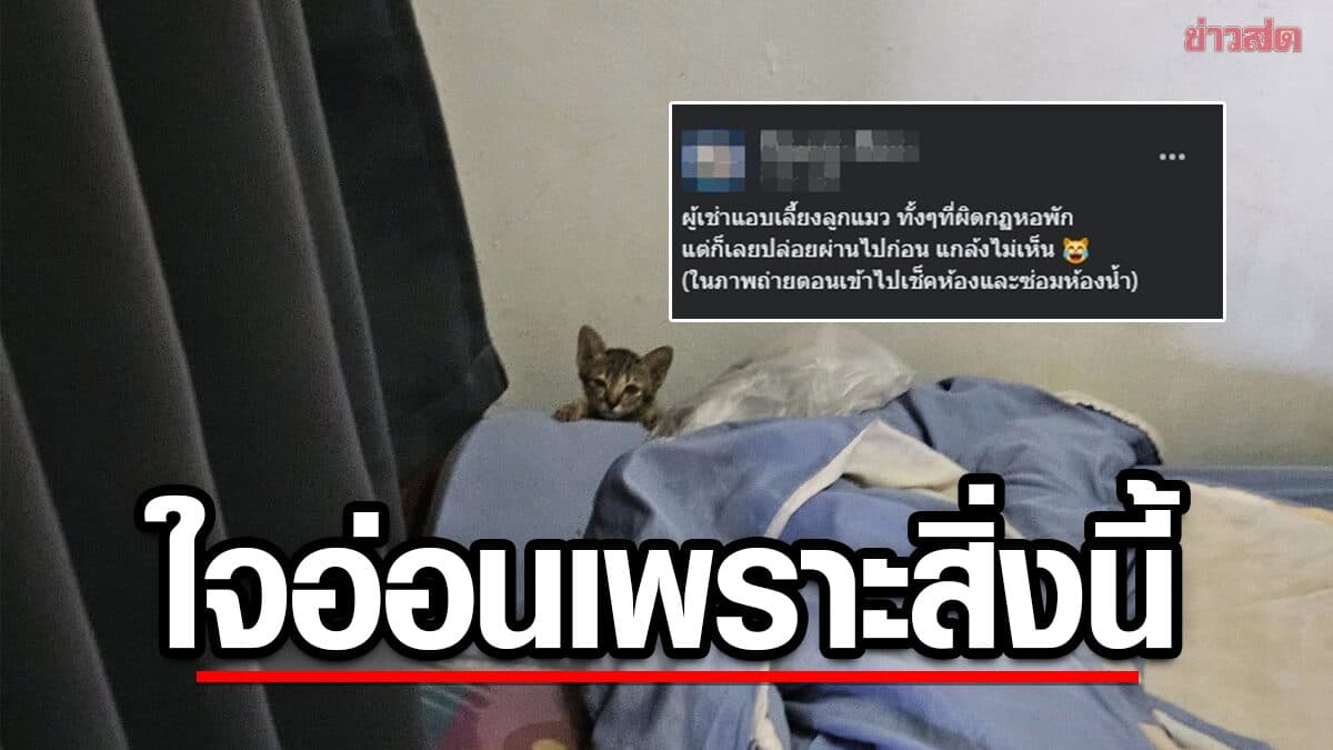 เจอผู้เช่าทำผิดกฎ แต่ต้องทำเป็นมองไม่เห็น เพราะทนสายตาไม่ไหว