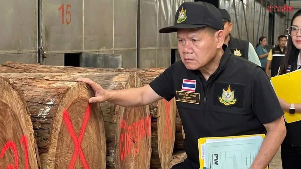 บุกทลายโรงงานไม้เถื่อนทุนจีนในทุ่งใหญ่ พบซุงยักษ์ซุกห้องลับ 15 ห้อง