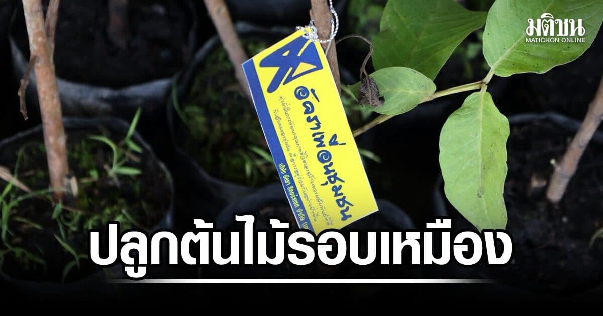 อัครา ระดมทีมช่วยชาวบ้านรอบเหมือง ปลูกต้นไม้ ดูแลพื้นที่สาธารณะ