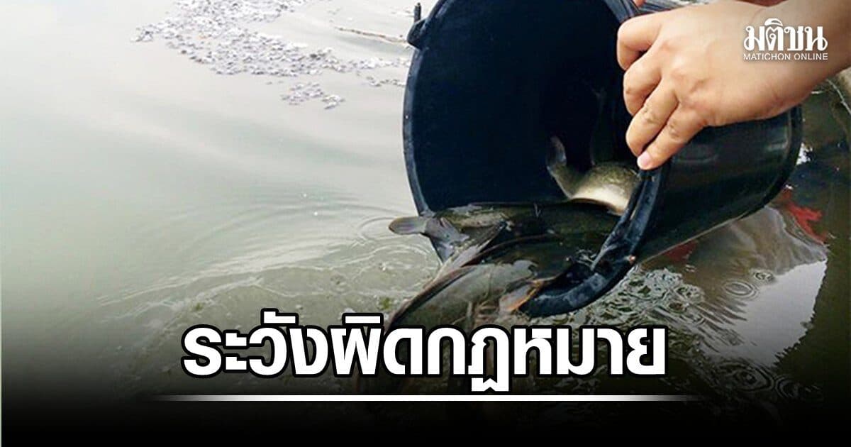 เข้าพรรษาปล่อยปลา ระวังผิดกฎหมาย กรมประมงเตือนปล่อย เอเลี่ยนสปีชีส์ โทษคุก 2 ปี ปรับ 2 ล้าน