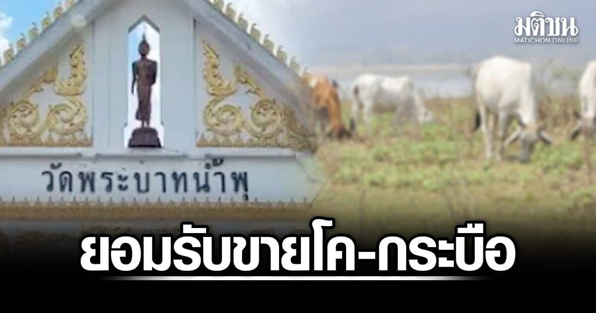 มูลนิธิวอชด็อก เผย วัดพระบาทน้ำพุ ยอมรับขาย โค-กระบือ ที่ปชช.ไถ่ชีวิต อ้างหาเงินมาดูแลผู้ป่วย