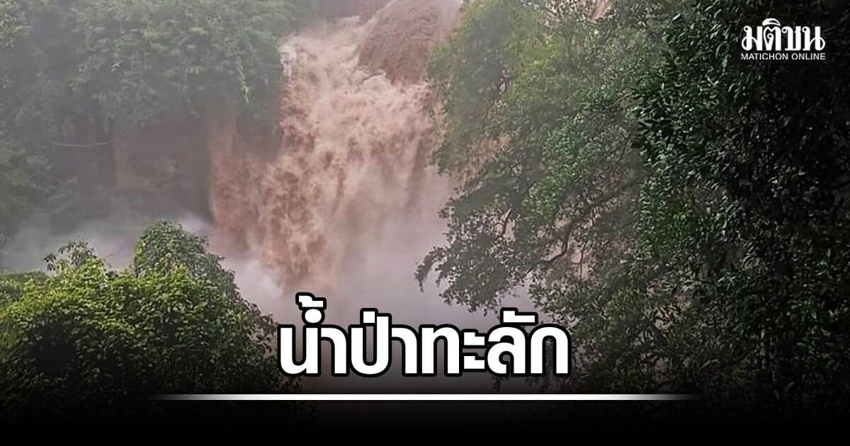 หัวหน้าอช.เขาใหญ่เตือนปากช่องน้ำป่าทะลักท่วม หลังฝนตกทั้งคืน หมูสี ขนงพระ เมือง เฝ้าระวัง