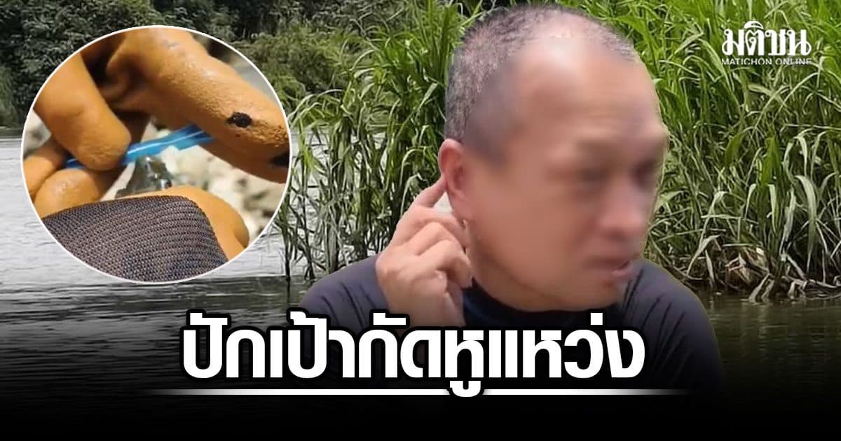 ปักเป้า หวงไข่! กัดใบหู “โก้ใหญ่” ประธานกู้ภัยทางน้ำภาค7 แหว่ง ระหว่างดำน้ำหาคนหาย