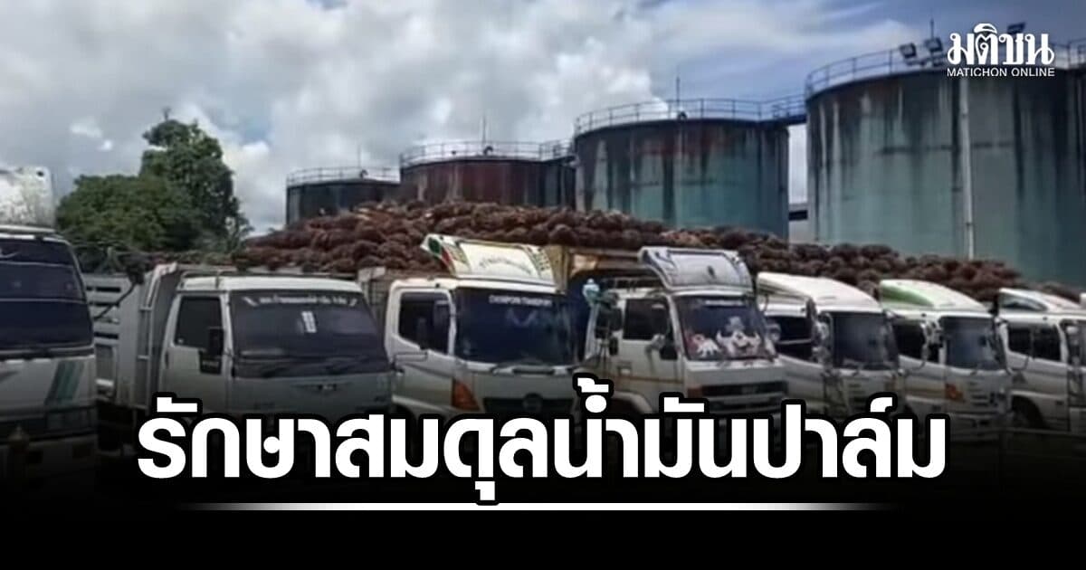 รักษาสมดุลน้ำมันปาล์ม คน.กำหนดกรอบส่งออก7หมื่นตัน ยืนสต๊อกในประเทศ3แสนตัน