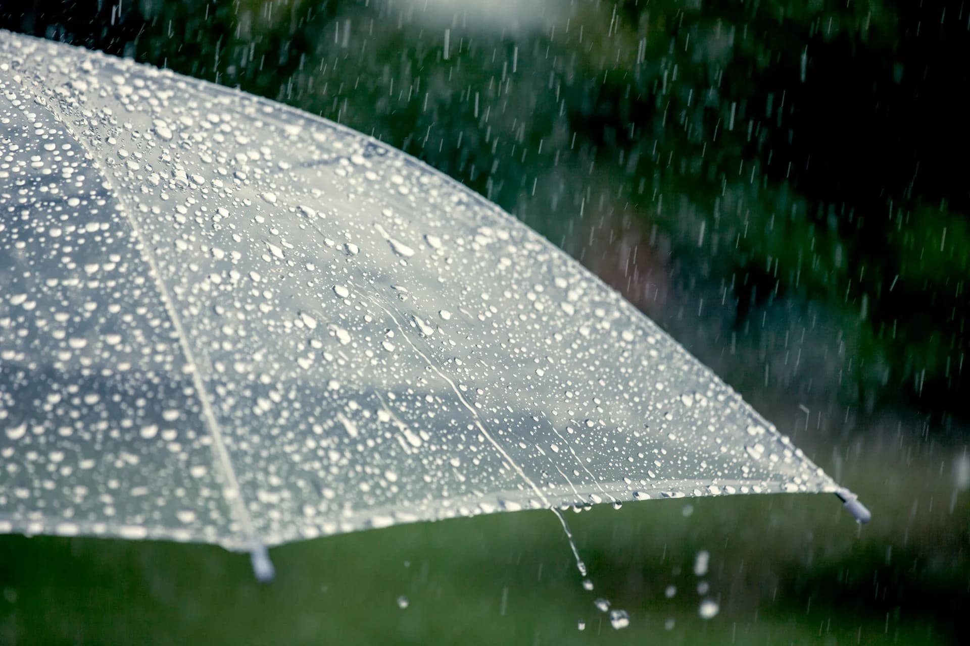 ร่องมรสุมพาดผ่าน เหนือ อีสาน ยังต้องรับมือฝนตกหนัก