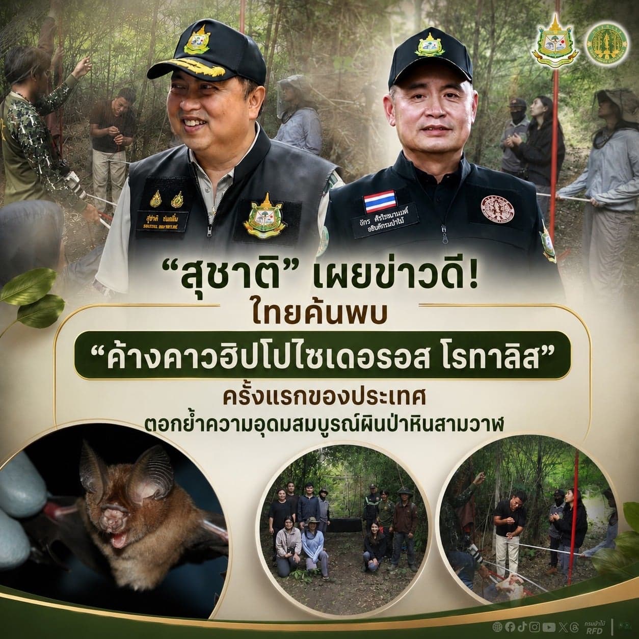 “สุชาติ” เผยข่าวดี! ไทยค้นพบ “ค้างคาวฮิปโปไซเดอรอส โรทาลิส” ครั้งแรกของประเทศ ตอกย้ำความอุดมสมบูรณ์ผืนป่าหินสามวาฬ