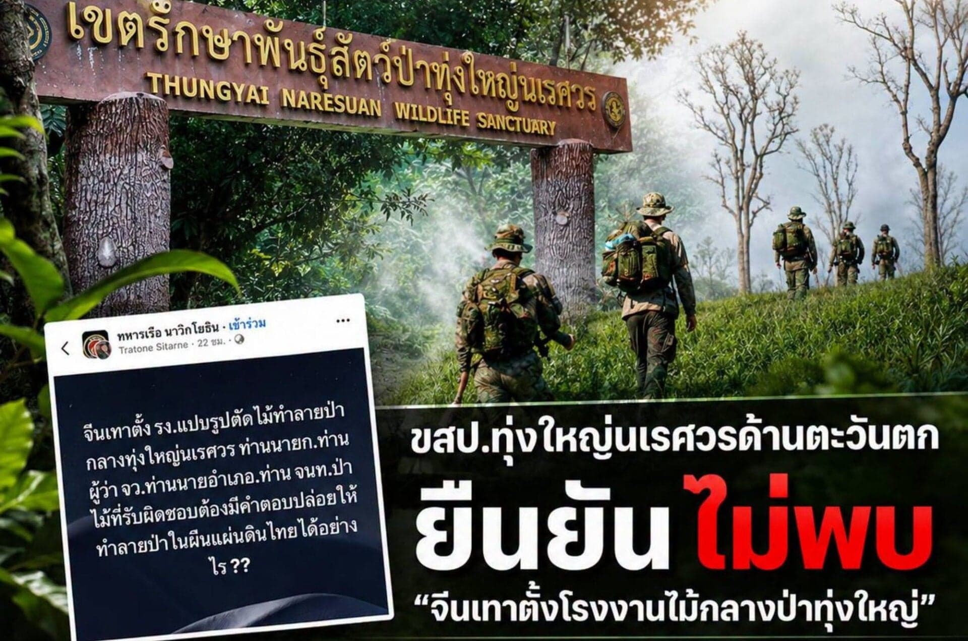 หัวหน้าเขตทุ่งใหญ่นเรศวร ยันไม่พบโรงงานแปรรูปไม้ของจีนเทากลางป่า
