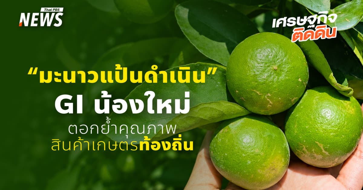 เปลือกบาง ผิวเรียบมัน “มะนาวแป้นดำเนิน” GI น้องใหม่ตอกย้ำคุณภาพสินค้าเกษตรท้องถิ่น