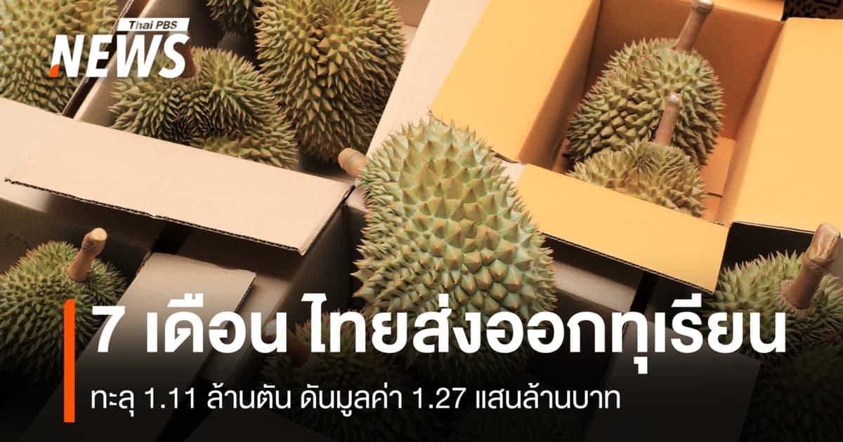 ส่งออกทุเรียน 7 เดือน ทะลุ 1.11 ล้านตัน ดันมูลค่า 1.27 แสนล้านบาท