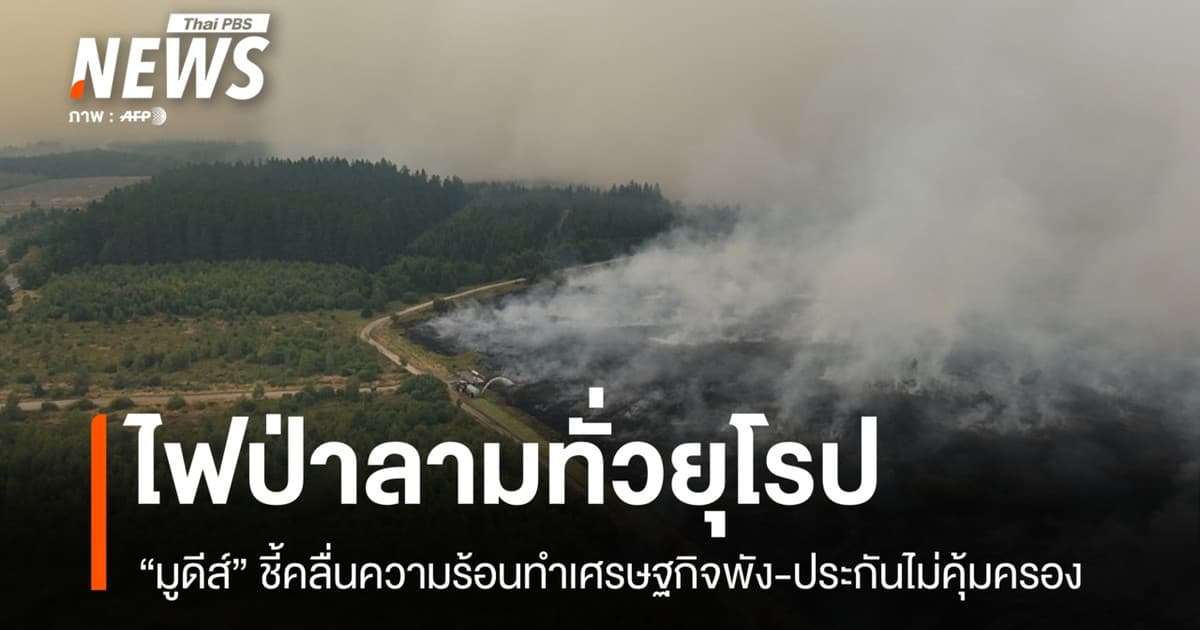 คลื่นร้อนระลอก 5 ไฟป่าถล่มยุโรป ธุรกิจเสียหาย-ประกันไม่คุ้มครอง