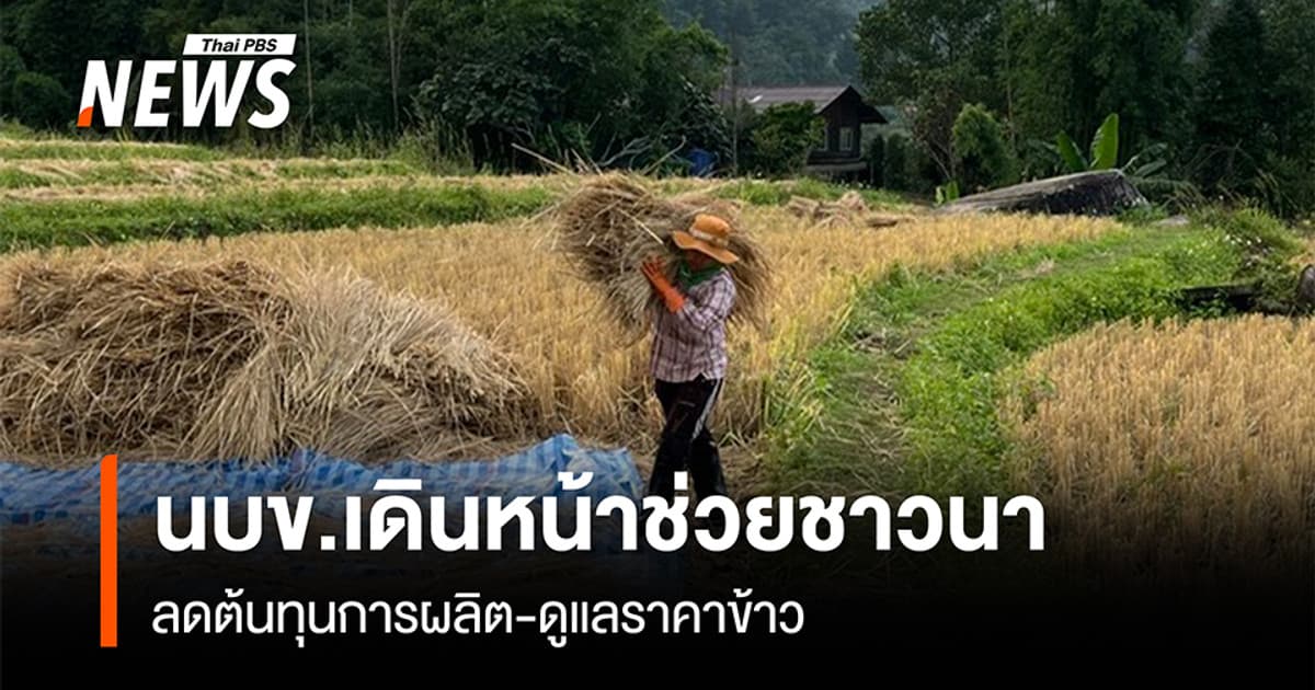 นบข.เดินหน้าช่วยชาวนา ลดต้นทุนการผลิต-ดูแลราคาข้าว