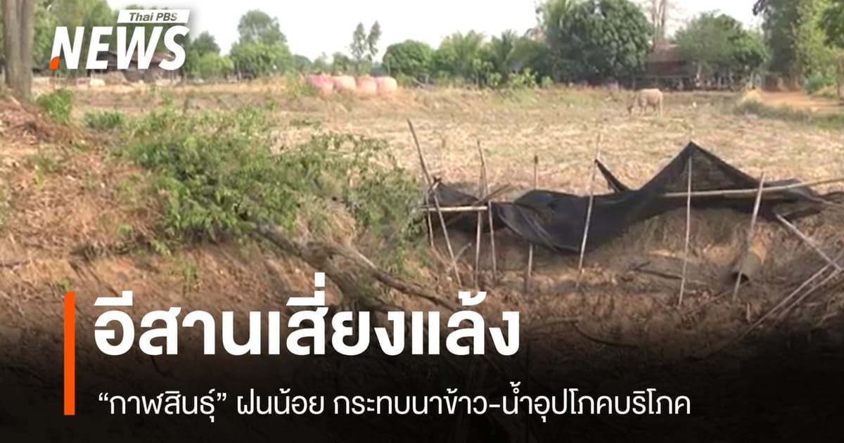 อีสานเสี่ยงแล้ง "กาฬสินธุ์" ฝนน้อย กระทบนาข้าว-น้ำอุปโภคบริโภค