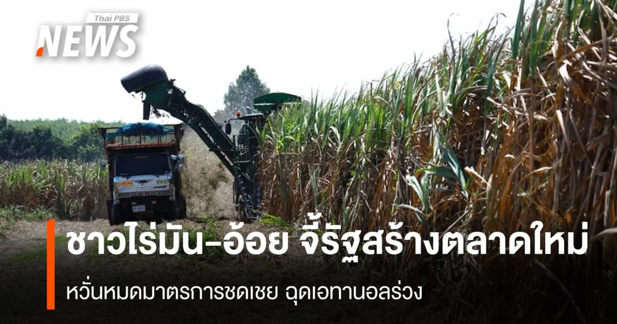 ชาวไร่มัน-อ้อย จี้รัฐสร้างตลาดใหม่ หวั่นหมดมาตรการชดเชยฉุดเอทานอลร่วง