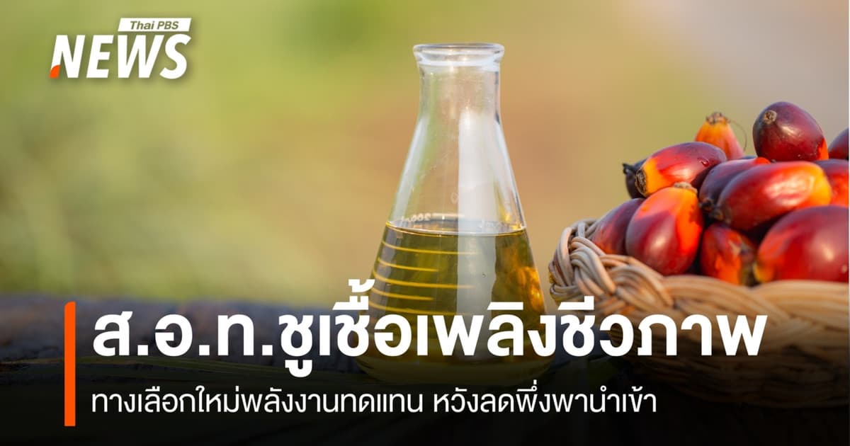 ส.อ.ท.ชูเชื้อเพลิงชีวภาพทางเลือกใหม่พลังงานทดแทน หวังลดพึ่งพานำเข้า