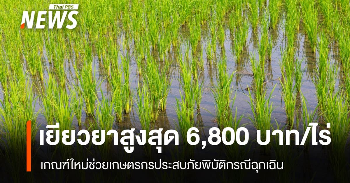 มีผลบังคับแล้ว เกณฑ์ใหม่เงินเยียวยาเกษตรกร ปรับเพิ่มสูงสุด 6,800 บาท/ไร่