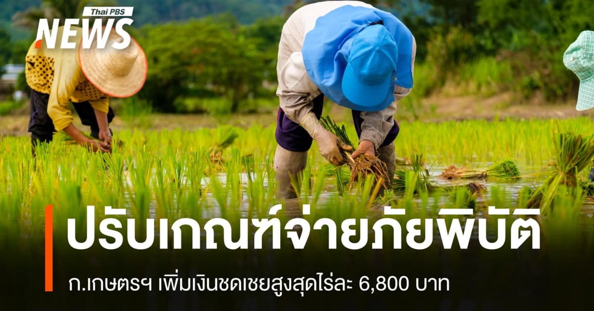 ก.เกษตรฯ ปรับเกณฑ์จ่ายภัยพิบัติ ชดเชยสูงสุดไร่ละ 6,800 บาท