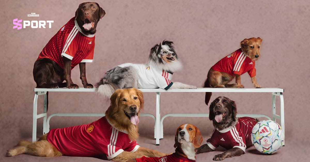 เสื้อทีมรักฉบับสี่ขา adidas ย่อชุดแข่ง 7 สโมสรดัง สู่ Clubs Pet Collection