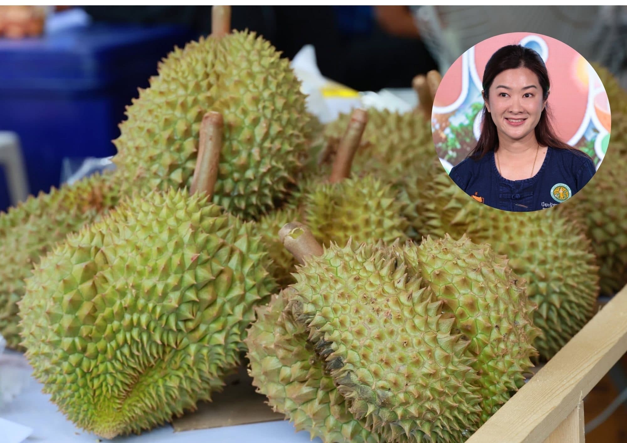 เกษตรฯ ปั้นตลาดผลไม้ไทยเชิงรุก ดันยอดขายพุ่ง 8.6 แสนล้าน
