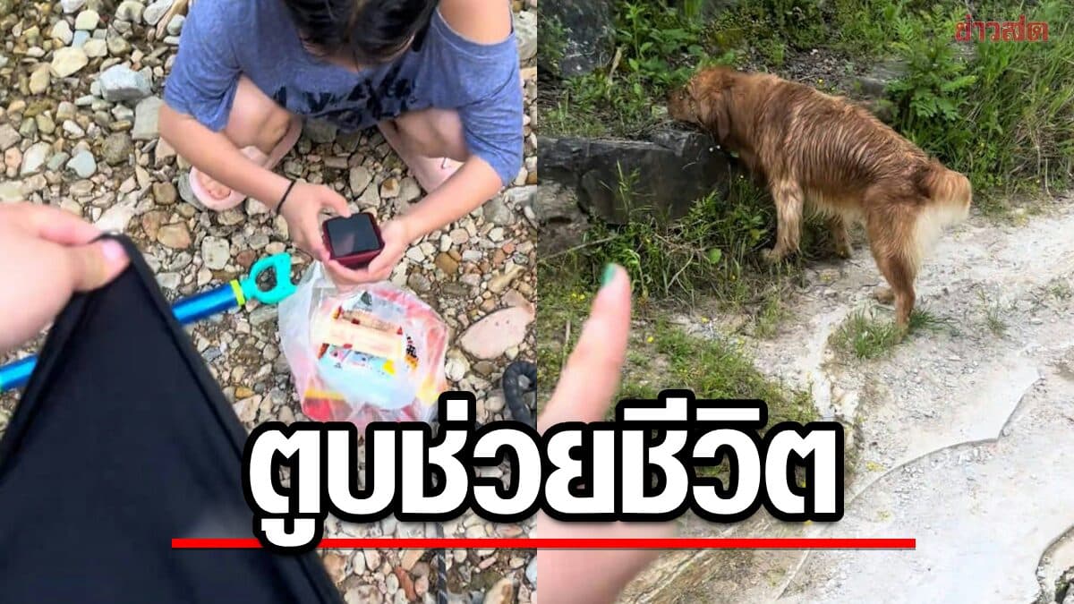 สาวจีนพาเพื่อนไปเดินเล่นริมแม่น้ำ เผลอลื่นตกน้ำ รอดเพราะ “โกลเด้น”