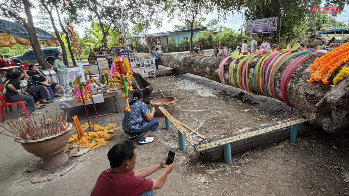 ชาวบ้าน แห่ขอโชค “เจ้าแม่จันทร์หอม” ตะเคียนทอง อายุ 307 ปี เปิดเลขเด็ด 2 ตัว 3 ตัว