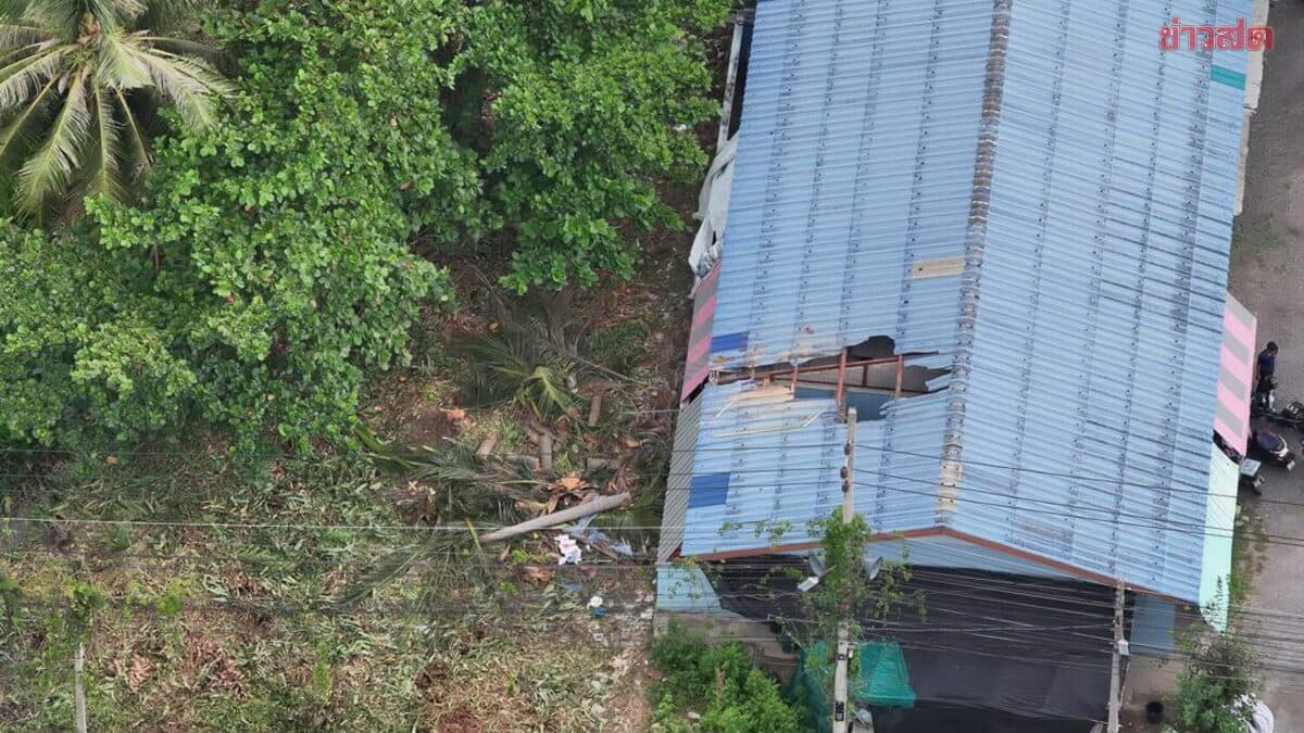 สาวกำลังเข้าห้องน้ำ ข้างบ้านตัดต้นมะพร้าวสูง 10 เมตร ล้มฟาดทะลุหลังคา บาดเจ็บสาหัส