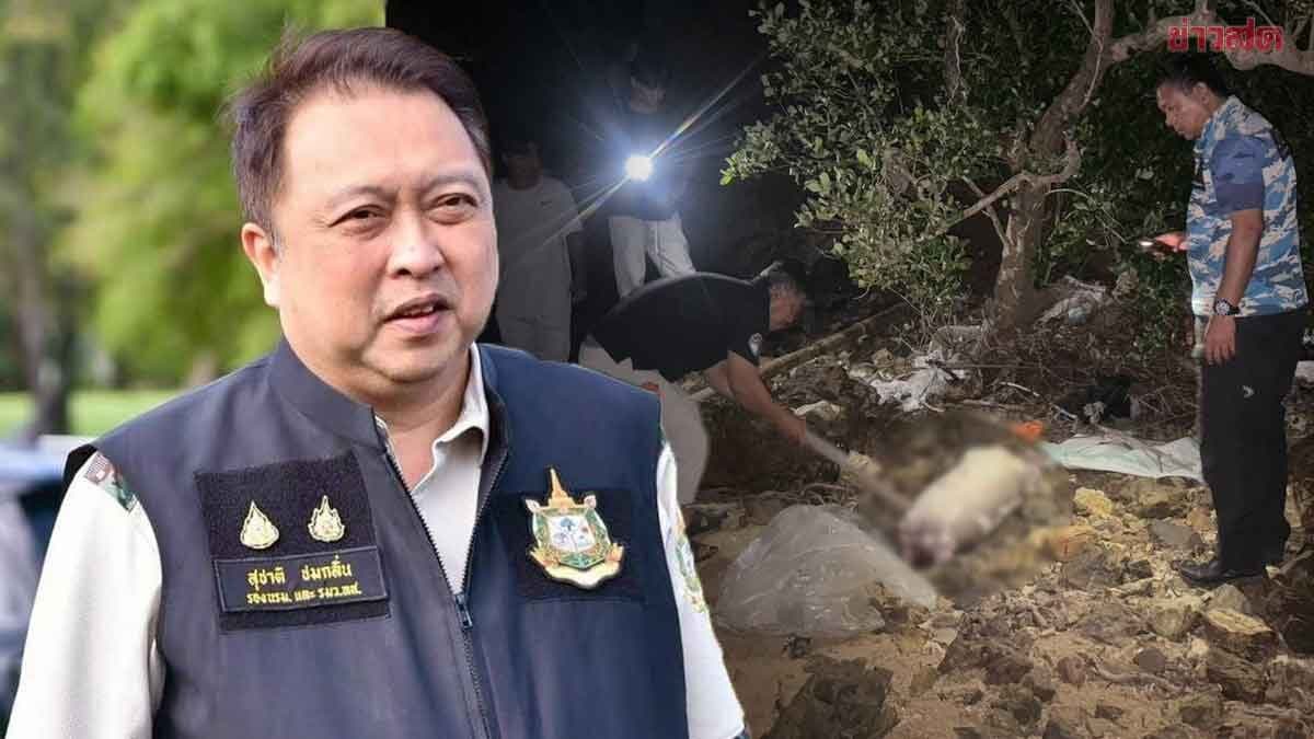 สุชาติ สั่งกรมทะเล เร่งตรวจสอบ ซากลูกพะยูนเกยตื้น ที่พังงา พบหัว-หางถูกตัด