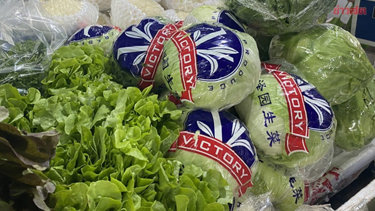 เกษตรกรโอด ผักผลไม้จีน ทะลักตลาดไทย กระทบทุกภาคส่วน