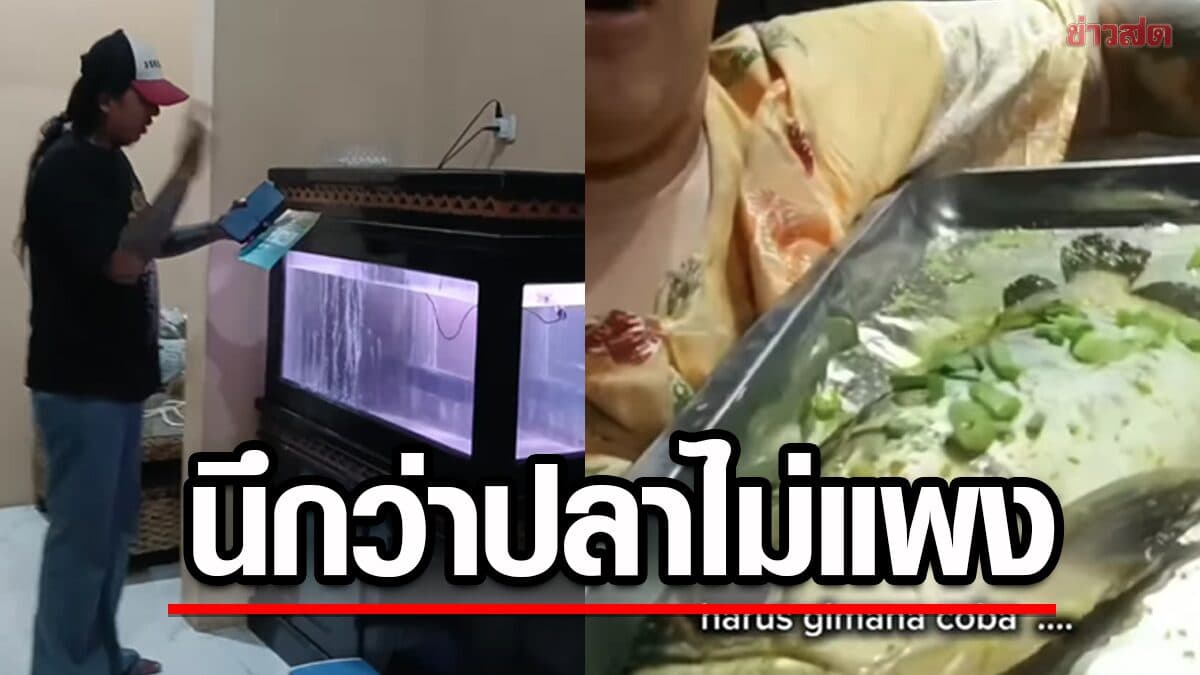 ภรรยาอัดคลิประบายโดนสามีดุ หลังเอาปลามาทำอาหาร รู้ราคาถึงกับน้ำตาแตก