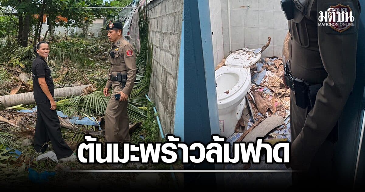 นาทีชีวิต สาวกำลังเข้าห้องน้ำ ช่างตัดต้นมะพร้าวสูง 10 เมตร ล้มฟาดทะลุหลังคา เจ็บสาหัส