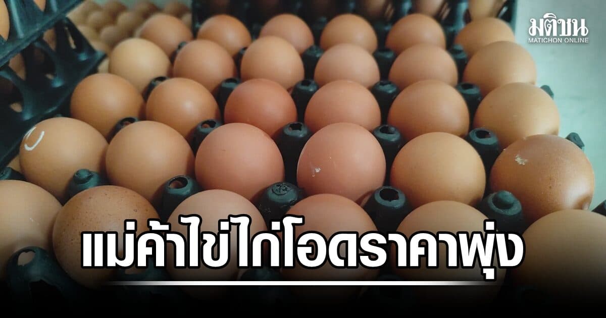 แม่ค้าไข่ไก่ โอดราคาพุ่งแผงละ 5 บาท ซ้ำขายไม่ดี วอนรัฐบาลเร่งแก้ปัญหา