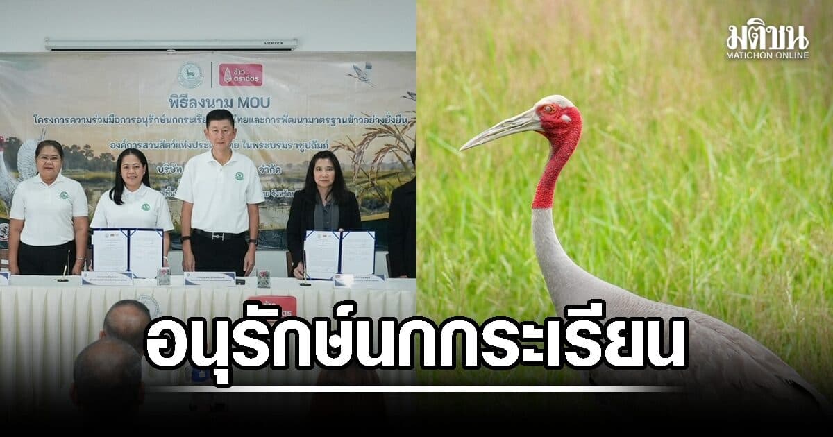 องค์การสวนสัตว์ฯ ผนึก ข้าวตราฉัตร ลงนาม MOU อนุรักษ์นกกระเรียนพันธุ์ไทย พัฒนามาตรฐานข้าว สร้างสมดุลคน-สัตว์ป่า-ธรรมชาติ