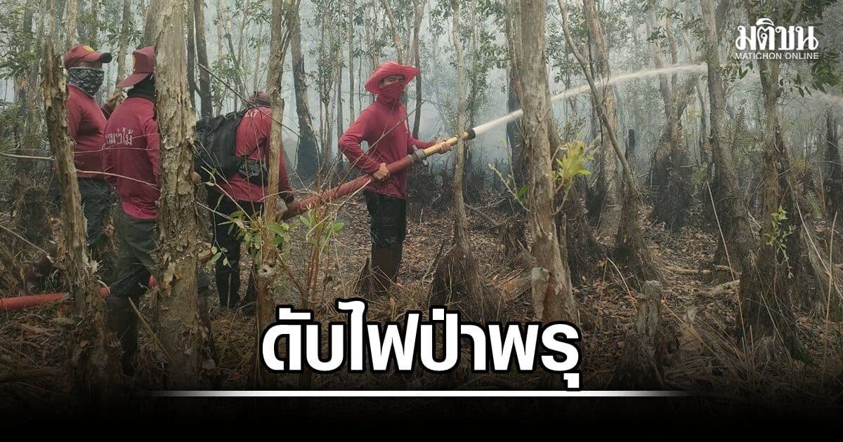 กรมป่าไม้บูรณาการกำลัง เร่งควบคุม ไฟป่าพรุควนเคร็ง หวั่นลุกลามพื้นที่รอบข้าง
