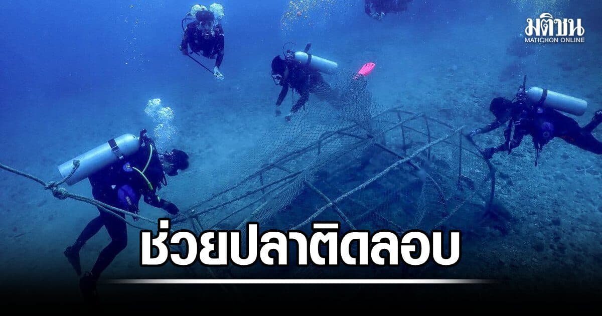จนท.อุทยานฯเกาะพีพี ปล่อยปลาทะเลนับร้อย ติดในลอบดักปลาผิดกฎหมาย กลางแนวปะการังเกาะบิดะนอก