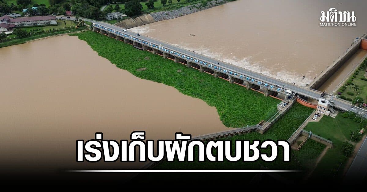 เขื่อนเจ้าพระยา เร่งเก็บผักตบชวา เพิ่มประสิทธิภาพการระบายรับมือน้ำเหนือ