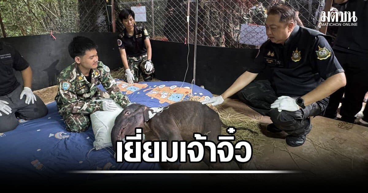 สุชาติ เยี่ยม เจ้าจิ๋ว ลูกช้างพลัดหลงป่าไทรโยค กำชับ เมื่อแข็งแรงดีให้ปล่อยกลับเข้าโขลง