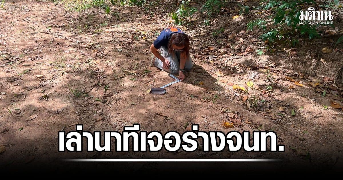 เล่านาทีพบร่างจนท.เคราะห์ร้าย นักวิจัยชี้ ไม่ใช่พฤติกรรมปกติของเสือโคร่ง จ้องล่ามนุษย์ เป็นอาหาร