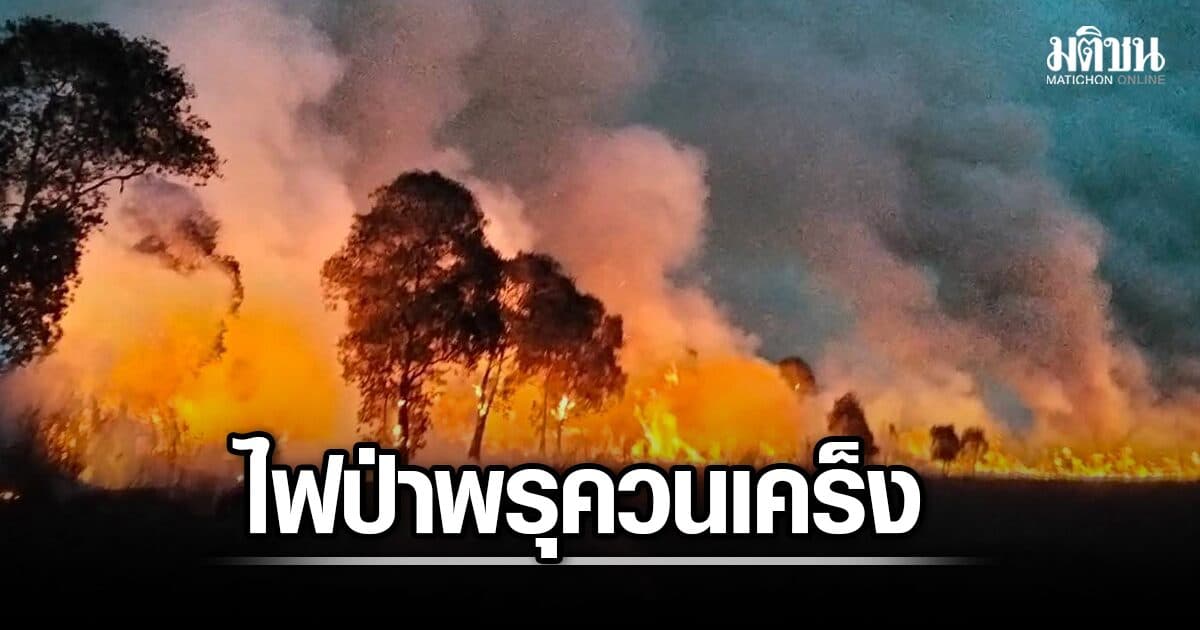 เปิดภาพ ไฟป่าพรุควนเคร็ง นครศรีธรรมราช เข้าสู่วันที่ 4 ยังหนัก เพลิงลามต่อเนื่อง