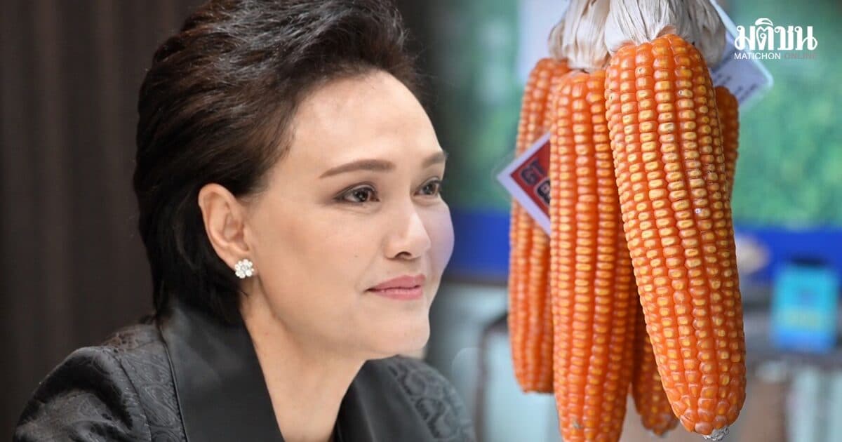 เคาะต่ออายุราคารับซื้อข้าวโพดสัตว์ ถึง 31 ส.ค. – ศุภจี สั่งเร่งทบทวนต้นทุนด่วน ย้ำดูแลตั้งแต่ต้นทาง