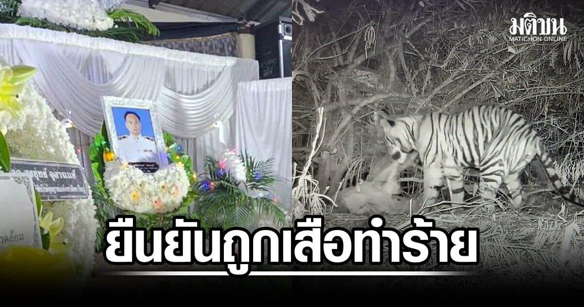 อุทยานฯ ยันจนท.เสียชีวิตจากเสือโคร่งทำร้าย การล่าเหยื่อมีหลายแบบ ไม่จำเป็นต้องพบรอยเลือด