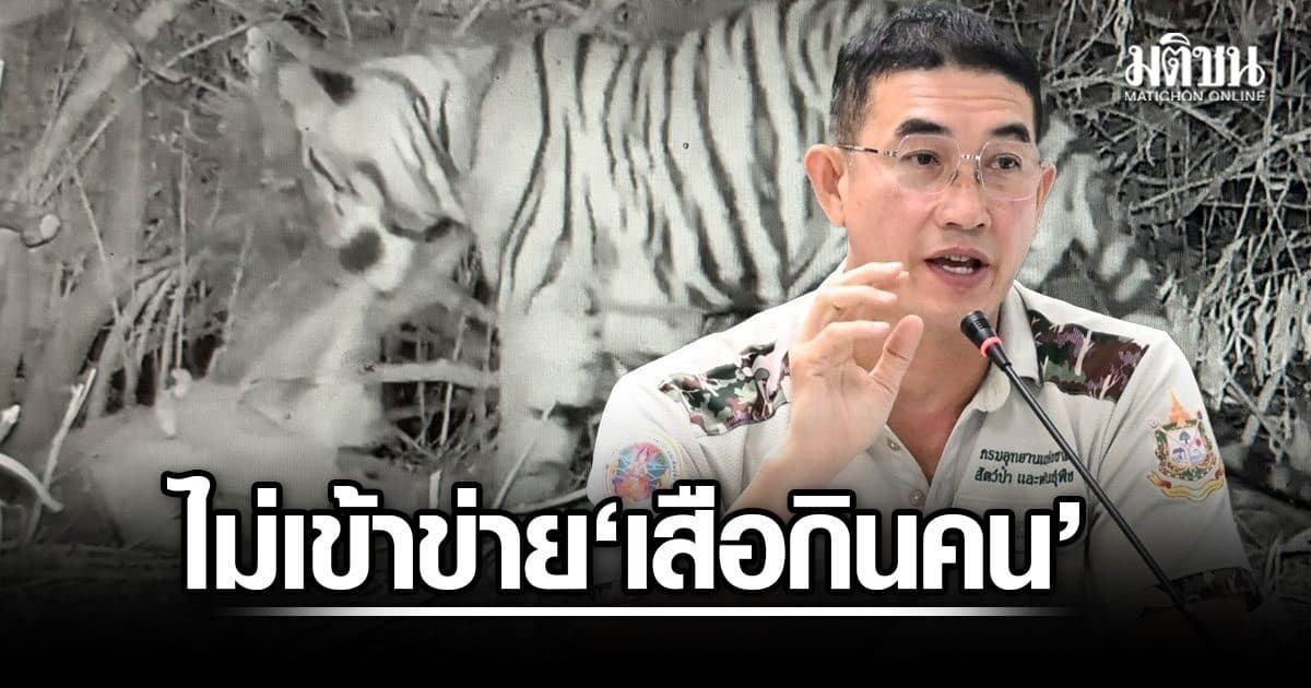 กรมอุทยานฯ แจงไม่เข้าข่าย ‘เสือกินคน’ เปิดสาเหตุทำร้าย จนท.เสียชีวิต เป็น ลูกเสือวัยซน