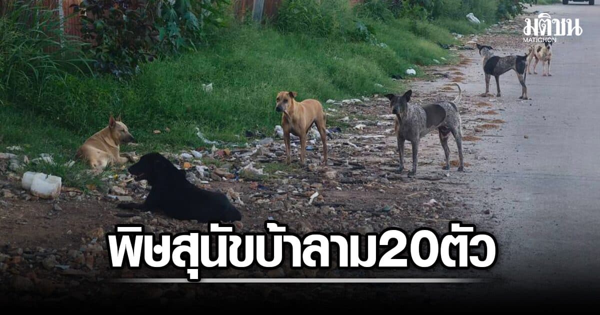 โคราชวุ่น อ.เมือง เชื้อพิษสุนัขบ้าลาม 20 ตัว แจ้งพิกัดคนถูกกัด 20-30 ก.ค. ฉีดวัคซีนด่วน!
