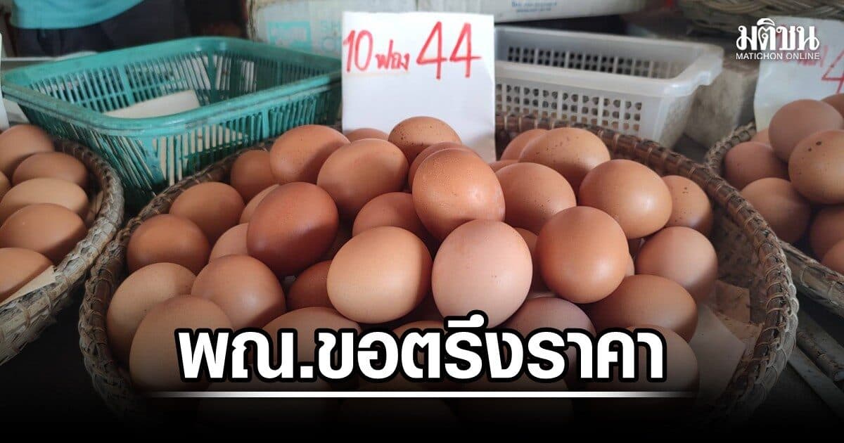 ค้าภายใน ขอผู้เลี้ยงหมู ไก่ ไข่ ตรึงราคาก่อนสารทจีน เผย ไทยช่วยไทยพลัส กระตุ้นยอดบริโภคสูงขึ้น