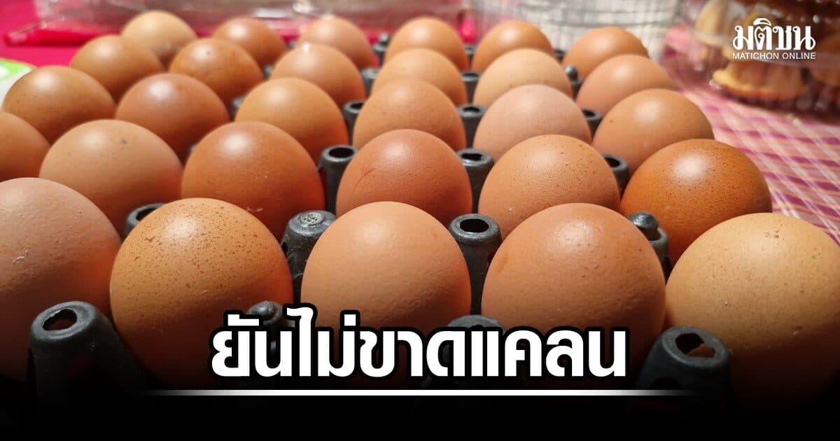 ฟาร์มไข่ไก่ ยันไม่ขาดแคลน แนะรัฐเช็กพฤติกรรมขายส่ง กักตุนหวังฟันกำไร ก่อนเข้าเทศกาลกินเจ