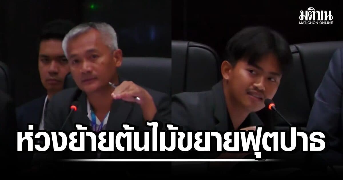 ส.ก.ห่วงฝ่ายโยธาฯ ทำน้องตาย ล้อมย้ายต้นไม้ใหญ่ ‘ขยายฟุตปาธถนนลิขิต’ แนะคุย ‘รุกขกร’