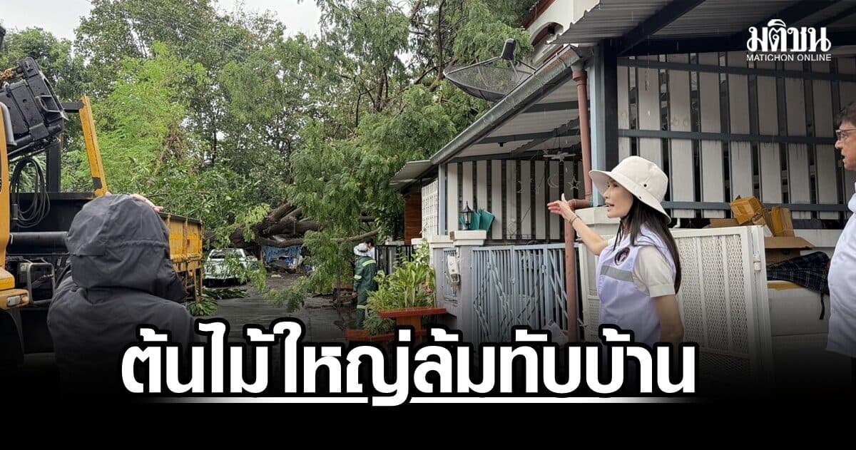 ‘ชญาดา’ เร่งลงพื้นที่ช่วยปชช.ถูก พายุฝน–ลมกระโชกแรง ต้นไม้ใหญ่ล้มทับบ้าน 2 หลัง